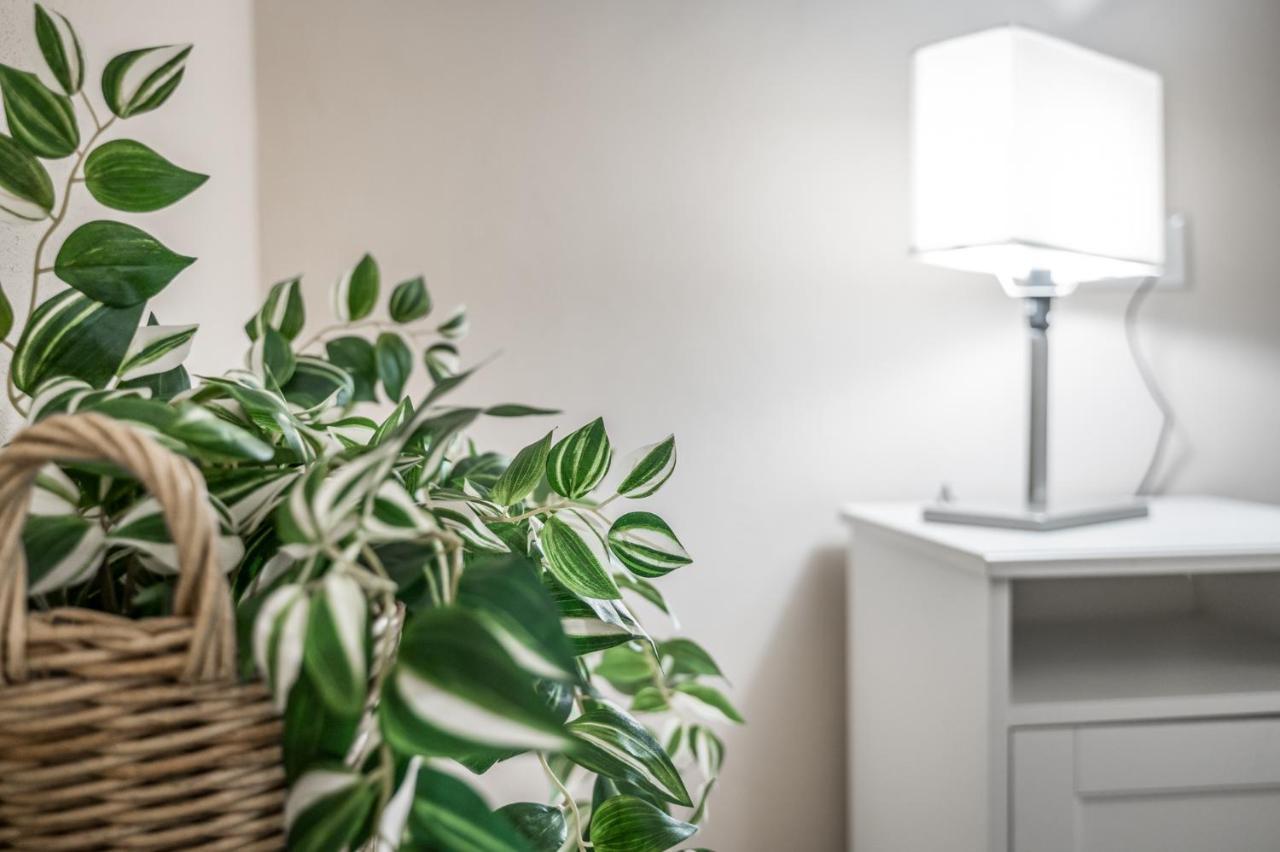 Broccaindosso Wood Apartments 5* 博洛尼亚 外观 照片